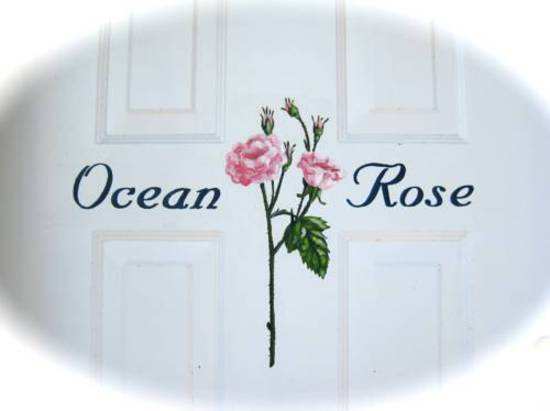 202502221740238295391751 Shine Dion:Ocean Rose