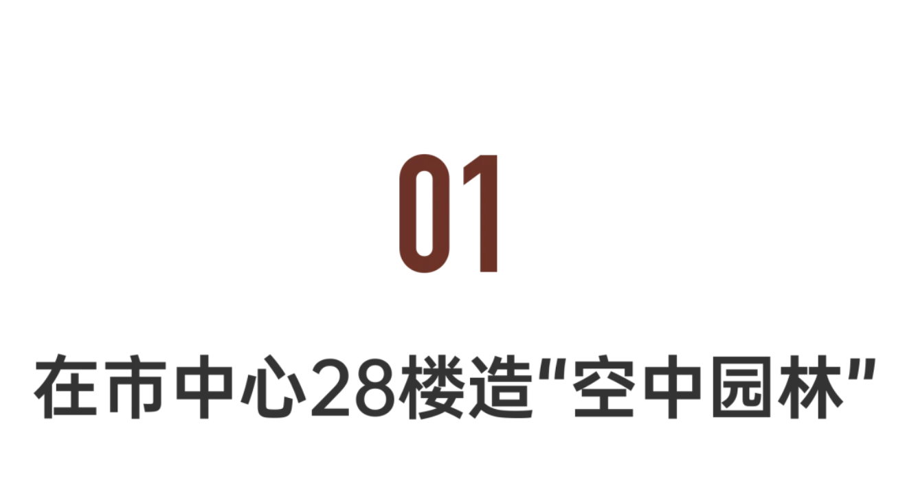 v2-3b5b3e3feb058b5ec6bf644bd3f8200b_1440w 成都妈妈在28楼造空中花园