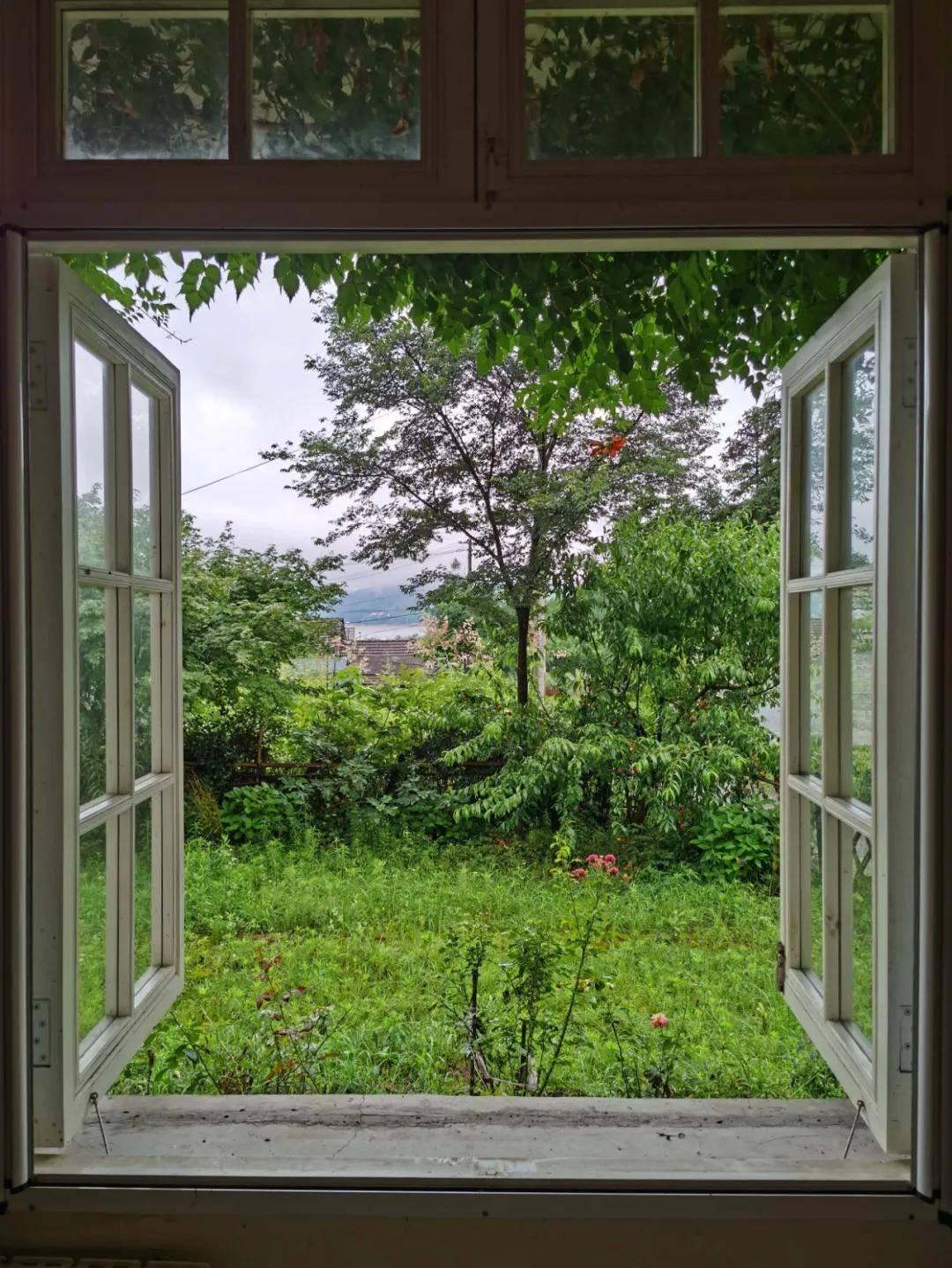 v2-85659459679f48b762fb60e8563c55f5_1440w 一个作家隐居山中9年:人应该做自己喜欢的事情,疯狂一点