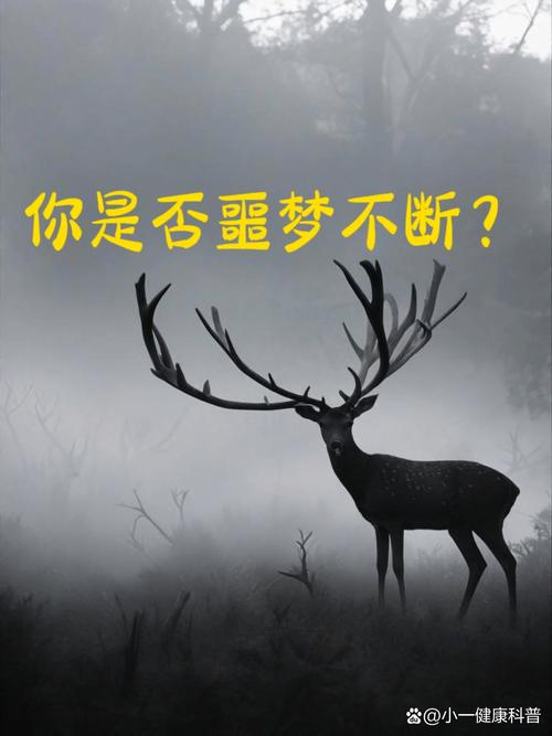 u14120930343040502224fm253fmtautoapp138fJPEG 人为什么总是被噩梦纠缠?